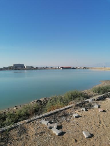 عکس اسکله هامون