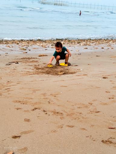 عکس اسکله هامون