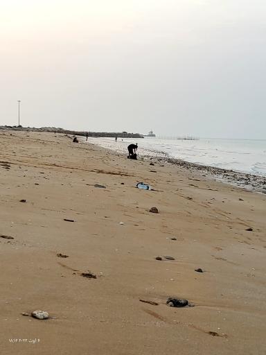 عکس اسکله هامون