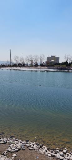 عکس میدان مشاهیر