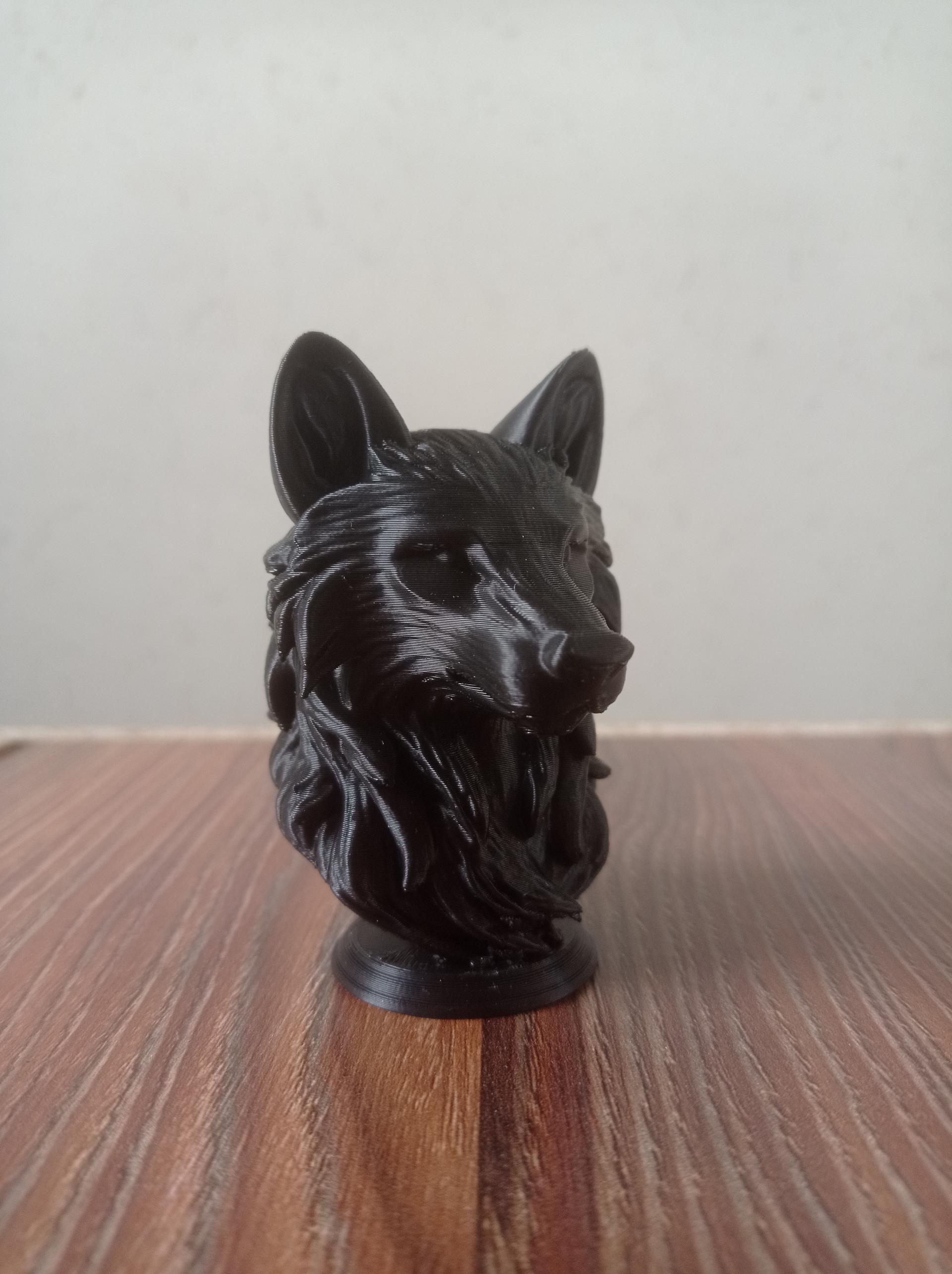 عکس طراحی و پرینت سه بعدی AHS 3D Studio