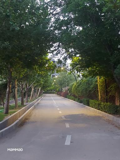 عکس بوستان مینیاتوری