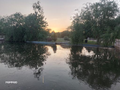 عکس بوستان مینیاتوری