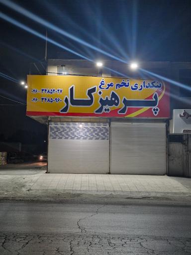 عکس پخش تخم مرغ پرهیزکار 