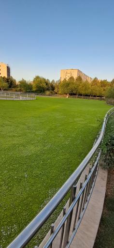 عکس بوستان مینیاتوری