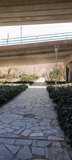 عکس پل غدیر