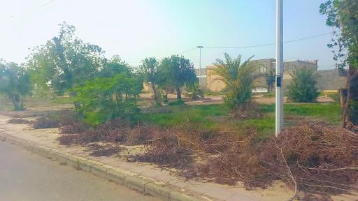 عکس بوستان شنه