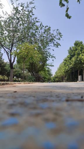 عکس بوستان مینیاتوری
