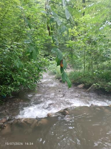 عکس رودخانه شصت کلا