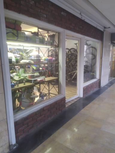 عکس فروشگاه دوچرخه سکویا