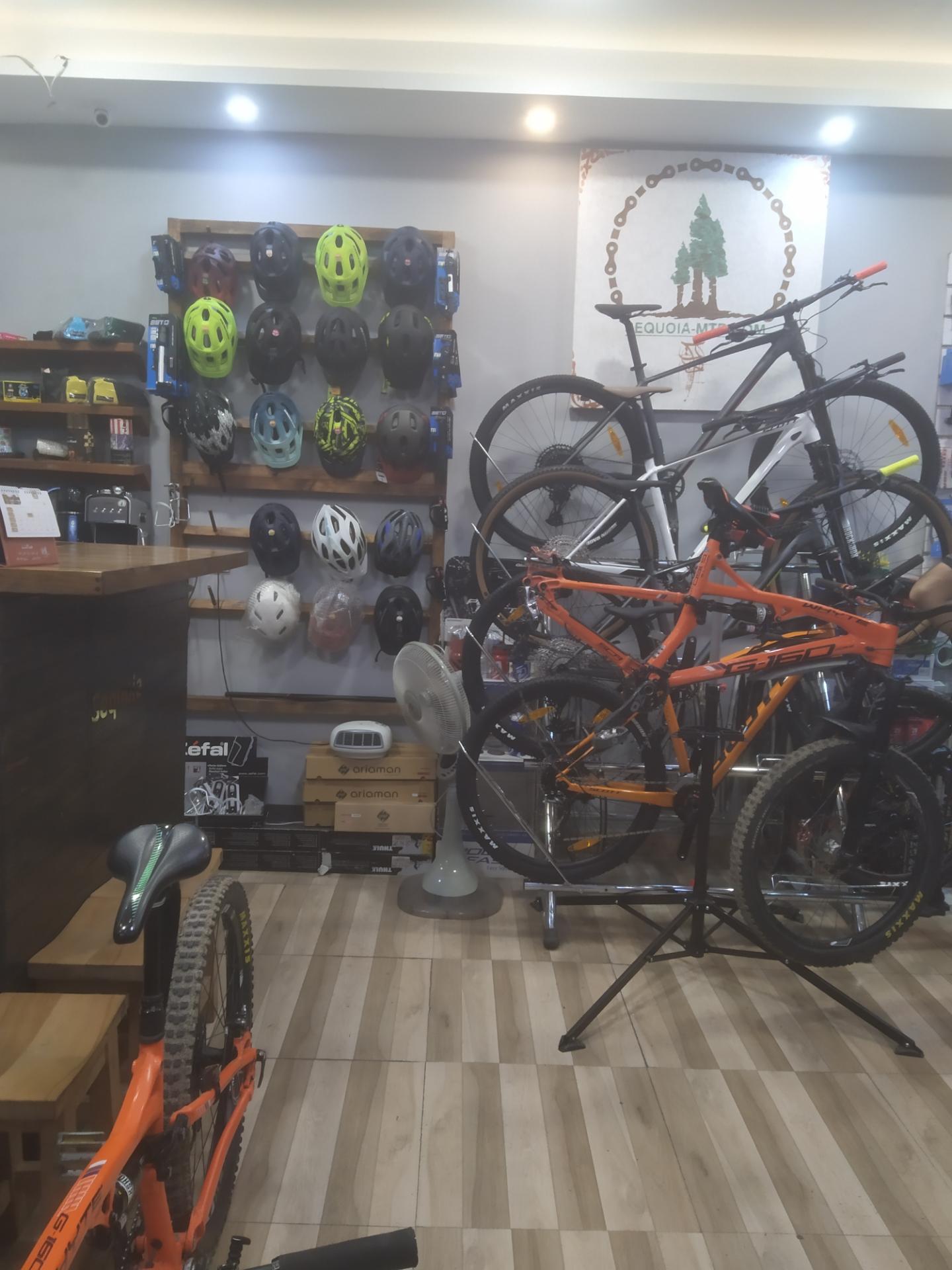 عکس فروشگاه دوچرخه سکویا