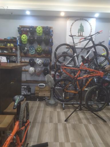 عکس فروشگاه دوچرخه سکویا