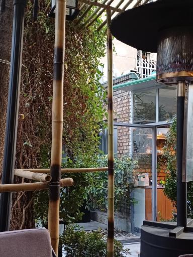 عکس خانه رایا