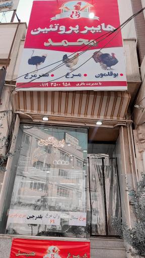 عکس هایپر پروتئین محمد 