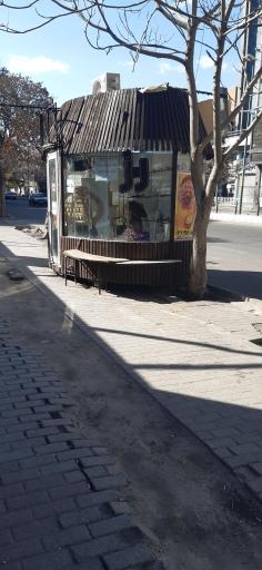 عکس گلفروشی رز