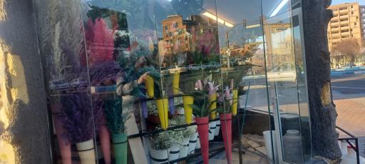 عکس گلفروشی رز