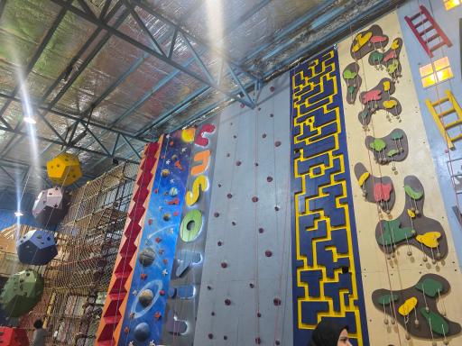 مجموعه ورزشی تفریحی آریو