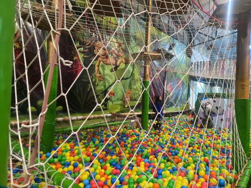 عکس مجموعه ورزشی تفریحی آریو