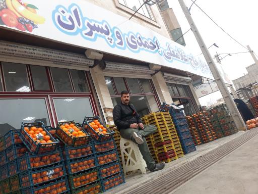 عکس میوه تره بار برادران احمدی