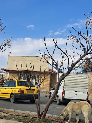 عکس کمپ ترک اعتیاد اخوان