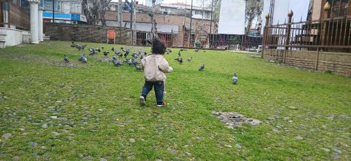 عکس بقعه چهار پادشاهان