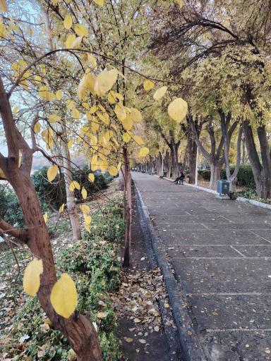 عکس پارک آیینه خانه