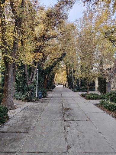 عکس پارک آیینه خانه