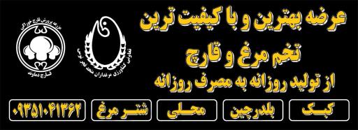 فروشگاه تخم مرغ روز