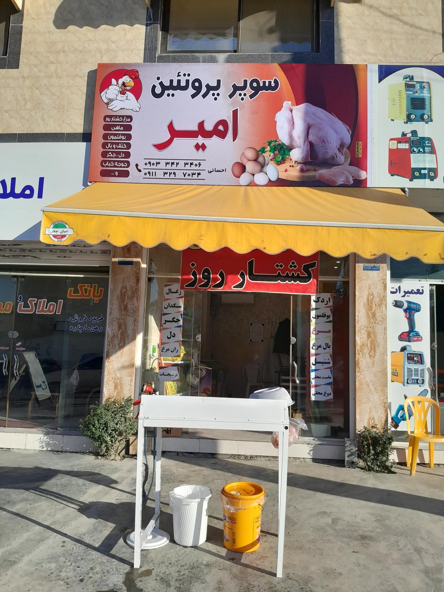 عکس  مرغ و پروتئین امیر