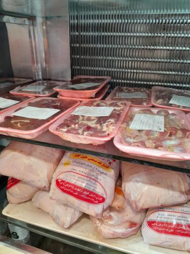 عکس  مرغ و پروتئین امیر