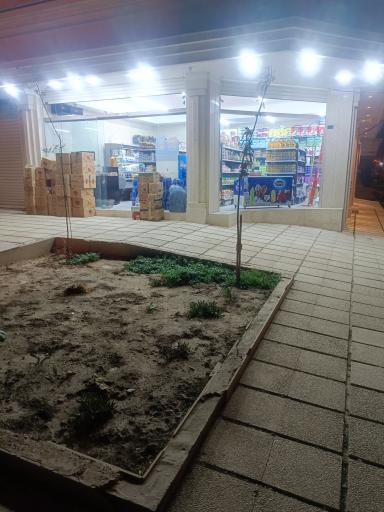 عکس شاهان مارکت