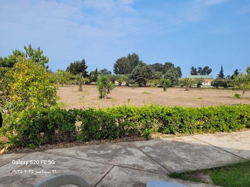 عکس پلاژ وزارت امور اقتصادی و دارایی