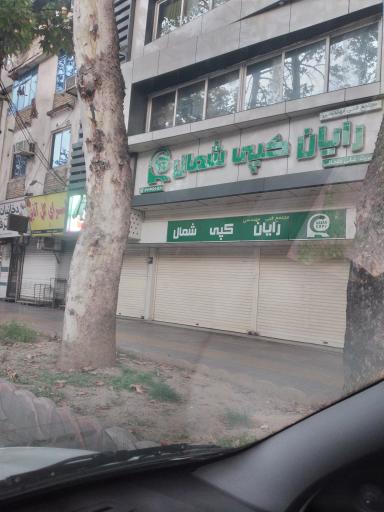 عکس رایان کپی شمال