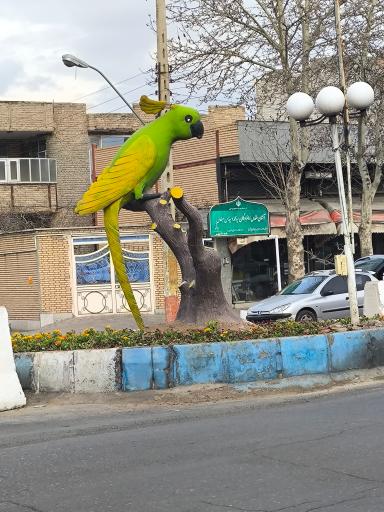 عکس میدان طوطی