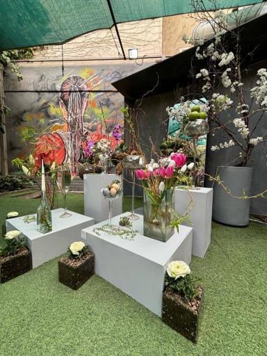 عکس باشگاه بدنسازی اکوفیتنس