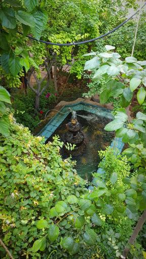 کافه شمعدونی