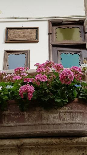 عکس کافه شمعدونی