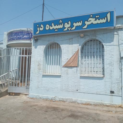 عکس استخر دز