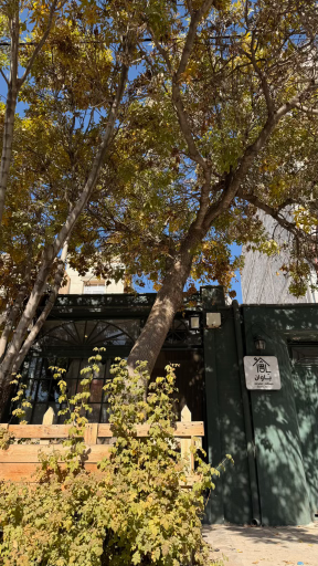 عکس کافه باوان