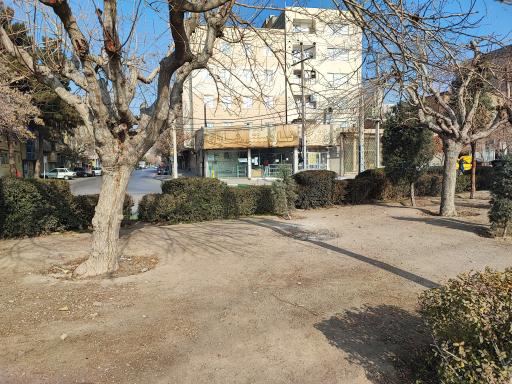 عکس نان سنتی شایان