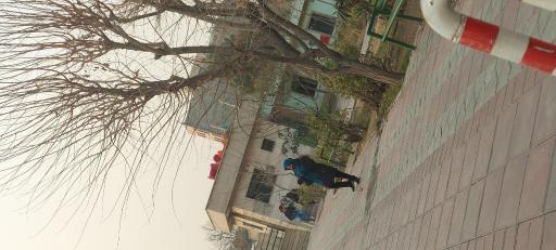 عکس سرویس بهداشتی