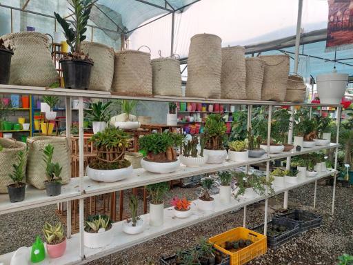 عکس تعاونی گل و گیاه زندگی سبز