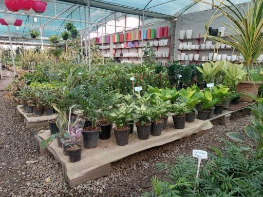 عکس تعاونی گل و گیاه زندگی سبز