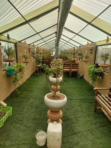 عکس تعاونی گل و گیاه زندگی سبز