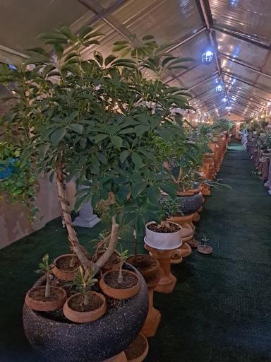 عکس تعاونی گل و گیاه زندگی سبز