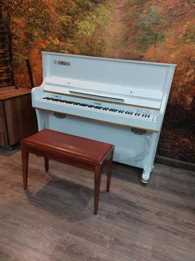 عکس آموزشگاه موسیقی ساز کوک