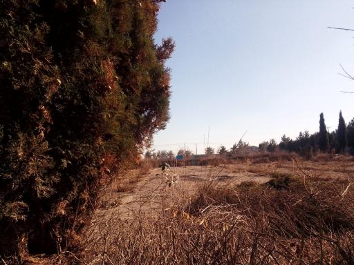 عکس باغ پارک علم و فناوری