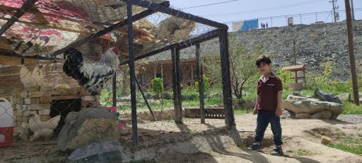 عکس زیست پارک (بوستان طبیعت و خانواده)