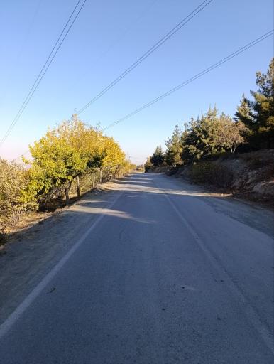 عکس زیست پارک (بوستان طبیعت و خانواده)