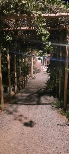 عکس زیست پارک (بوستان طبیعت و خانواده)